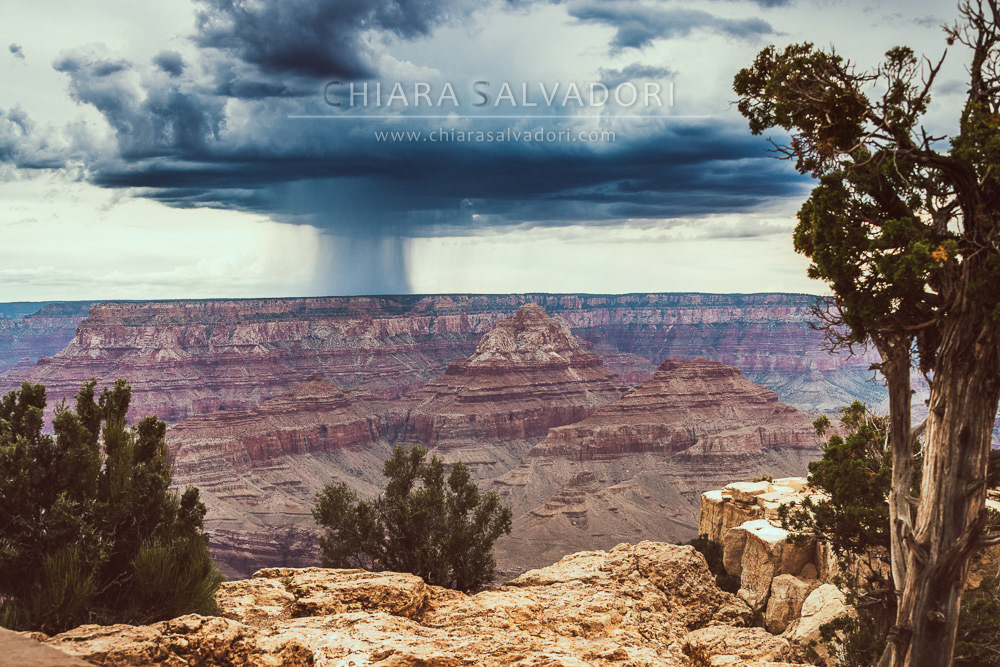 Grand Canyon National Park