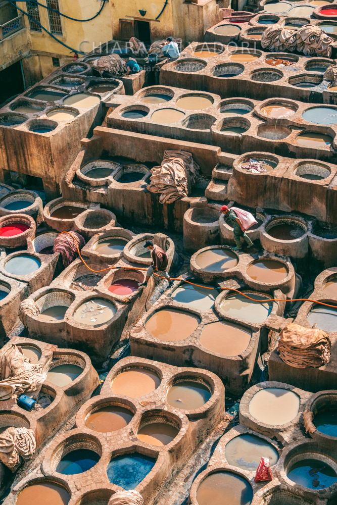 Leather tanning