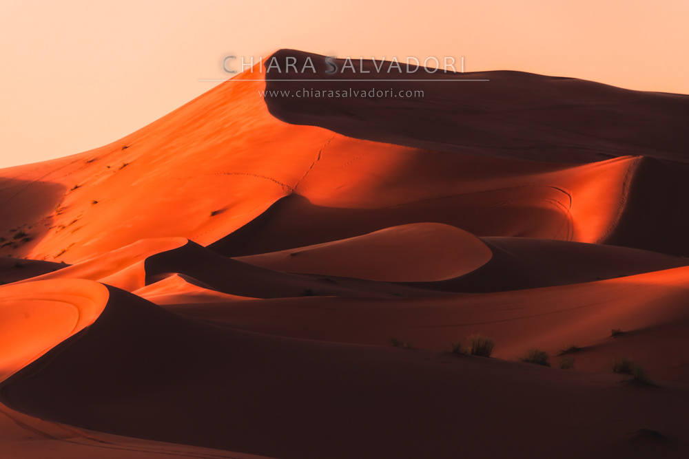 Sahara Desert