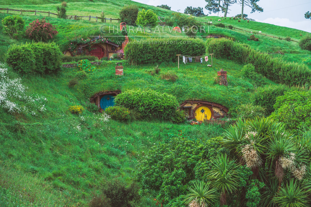 Hobbiton Movie Set