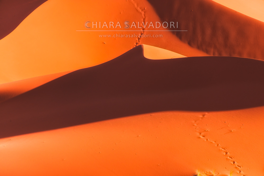 Sahara Desert