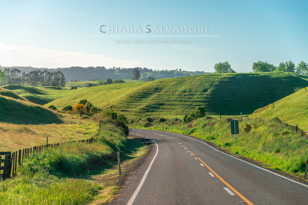 Waitomo On the Road