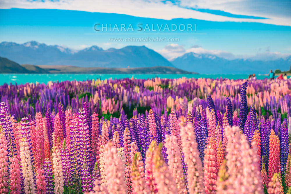 Lake Tekapo