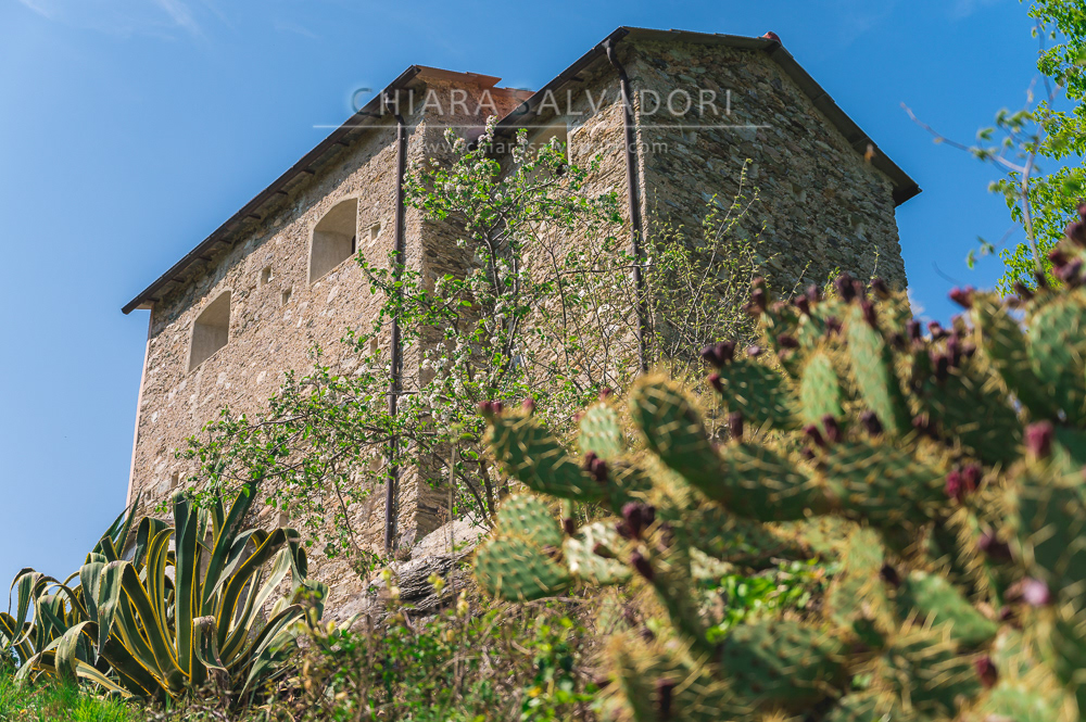 Erli - Savona, Liguria