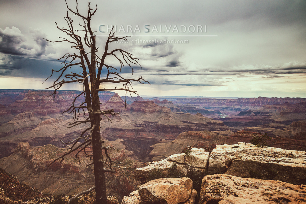 Grand Canyon National Park