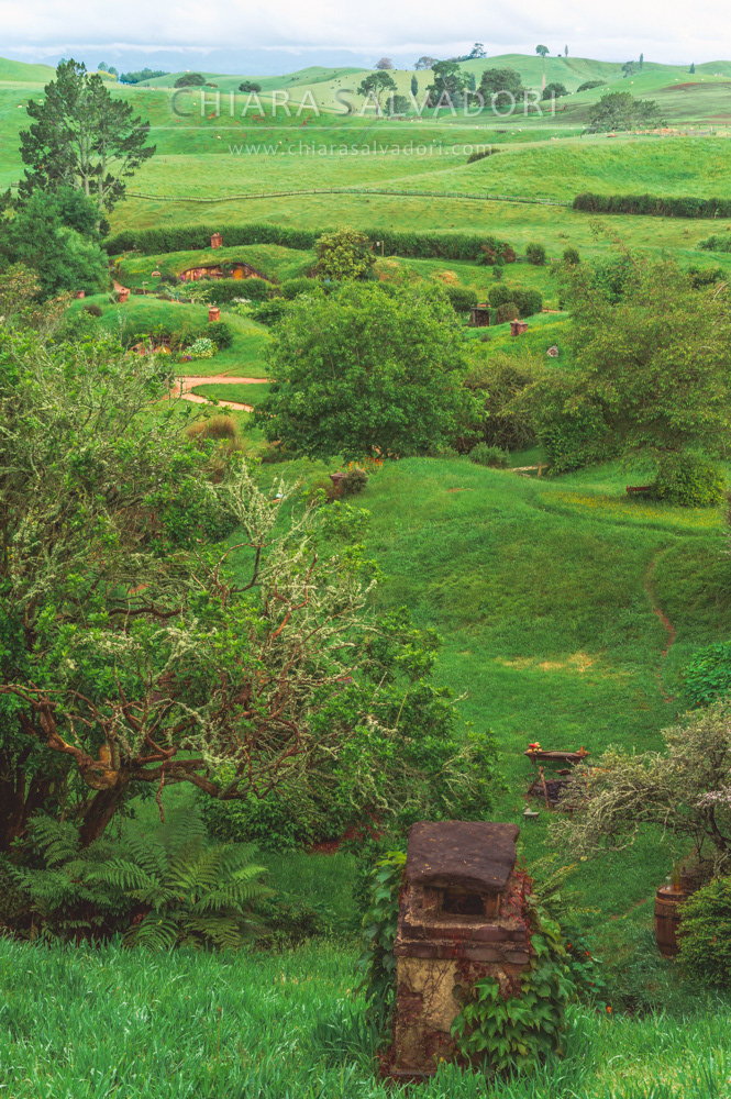 Hobbiton Movie Set