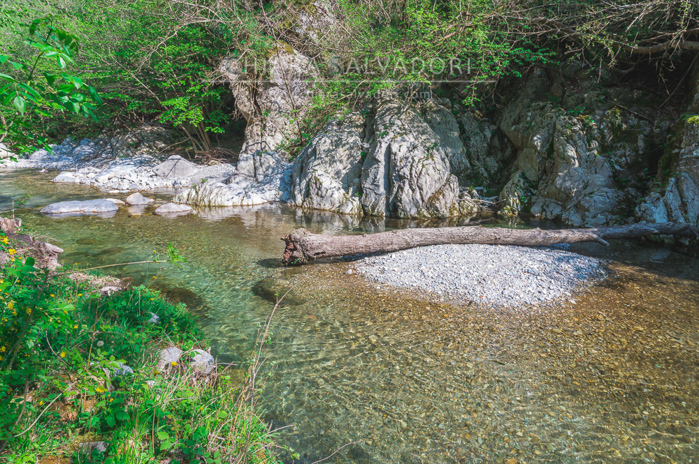 Erli - Savona, Liguria