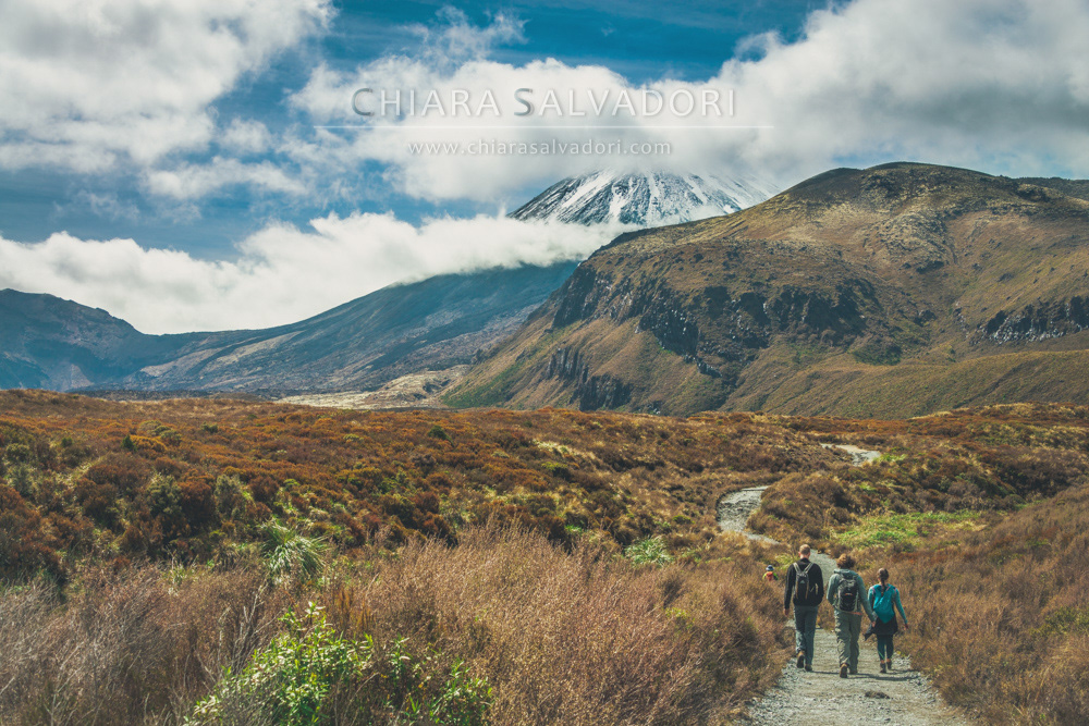 Tongariro National Park