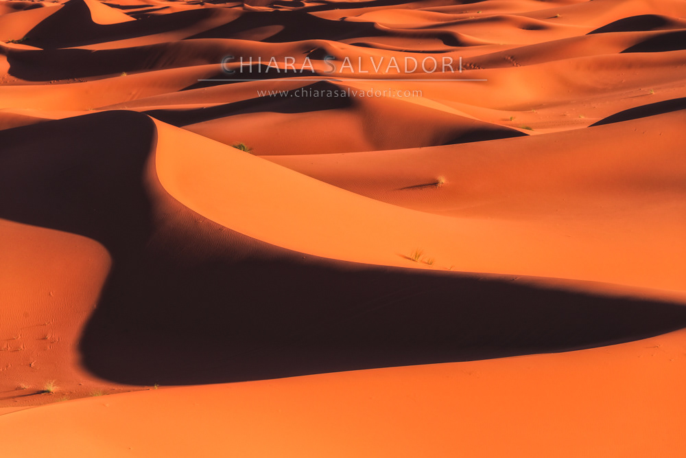 Sahara Desert