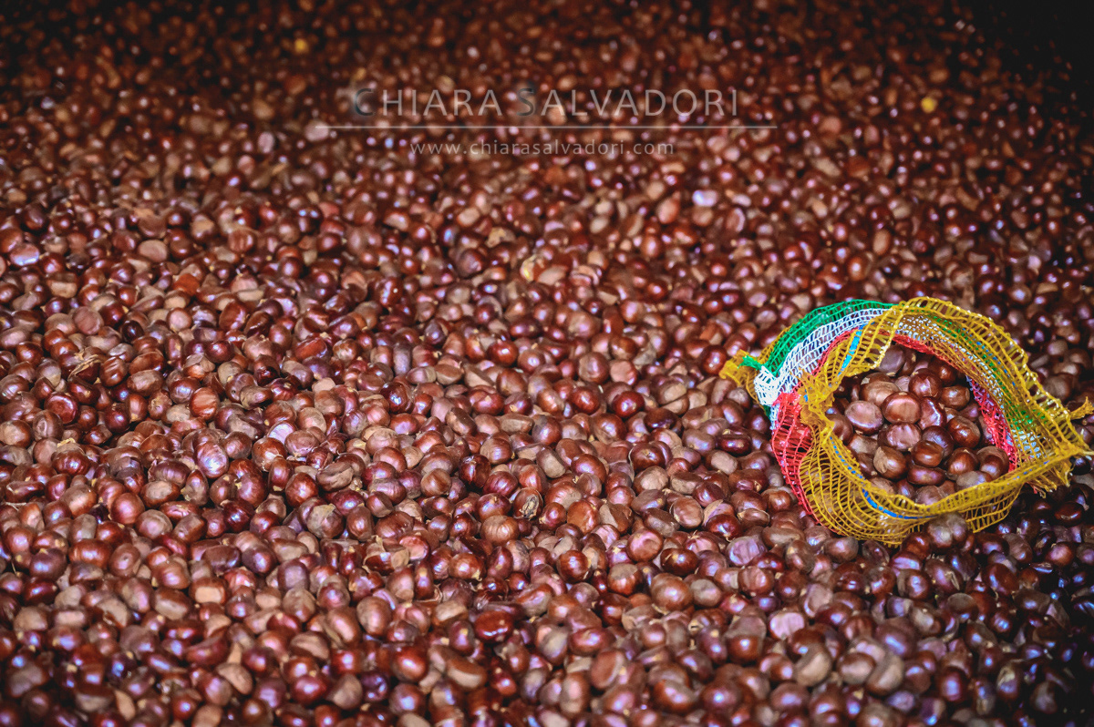 Chestnuts drying