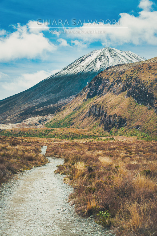 Tongariro National Park