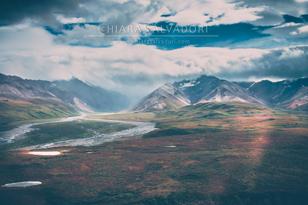 Denali National Park
