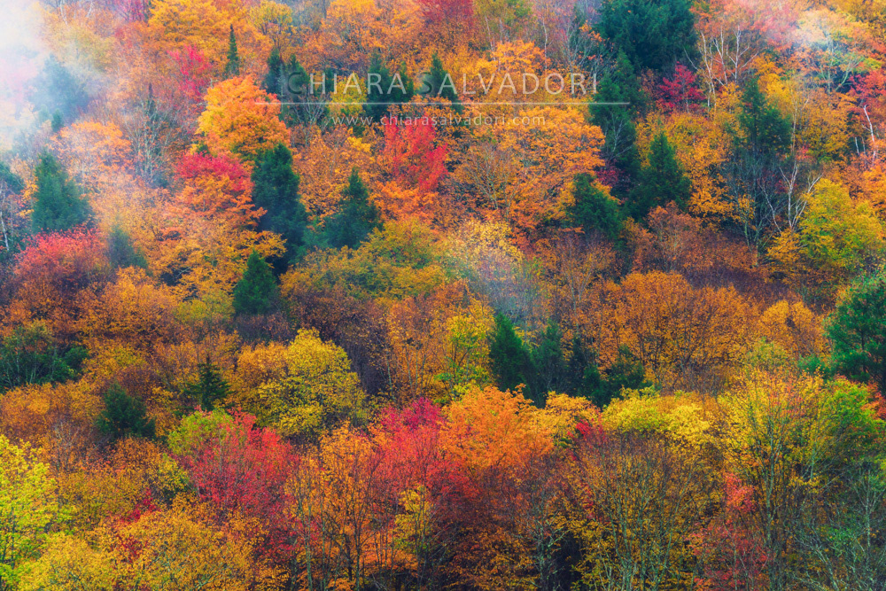 VT100 Hwy, Vermont