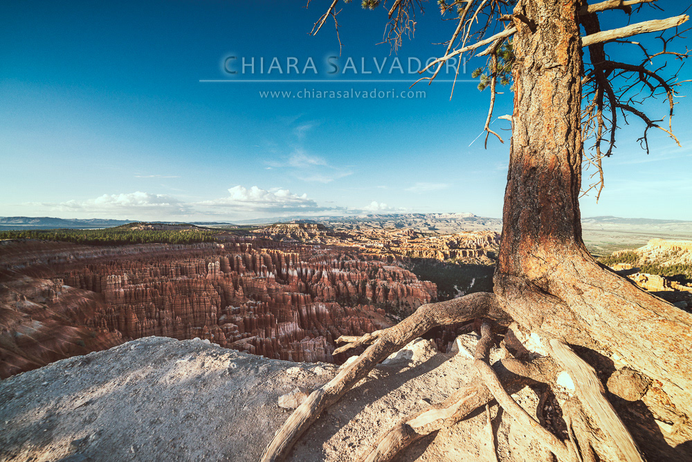 Bryce Canyon National Park