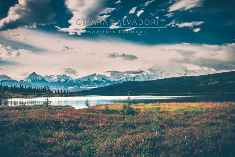 Denali National Park