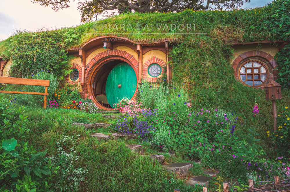 Hobbiton Movie Set