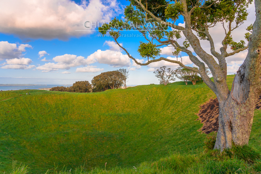 Mt. Eden