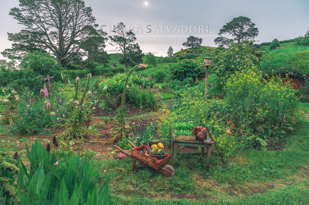 Hobbiton Movie Set