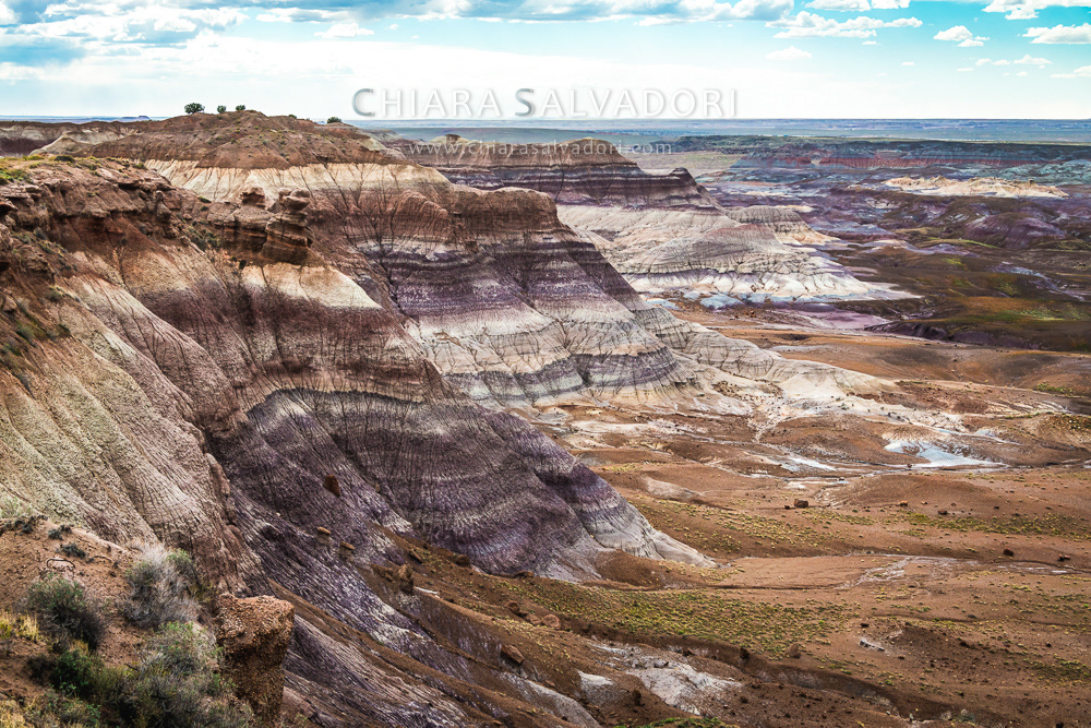 Blue Mesa, Petrified Forest National Park