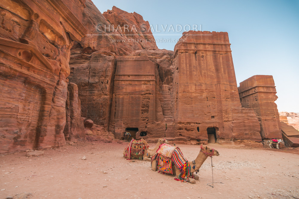 Petra