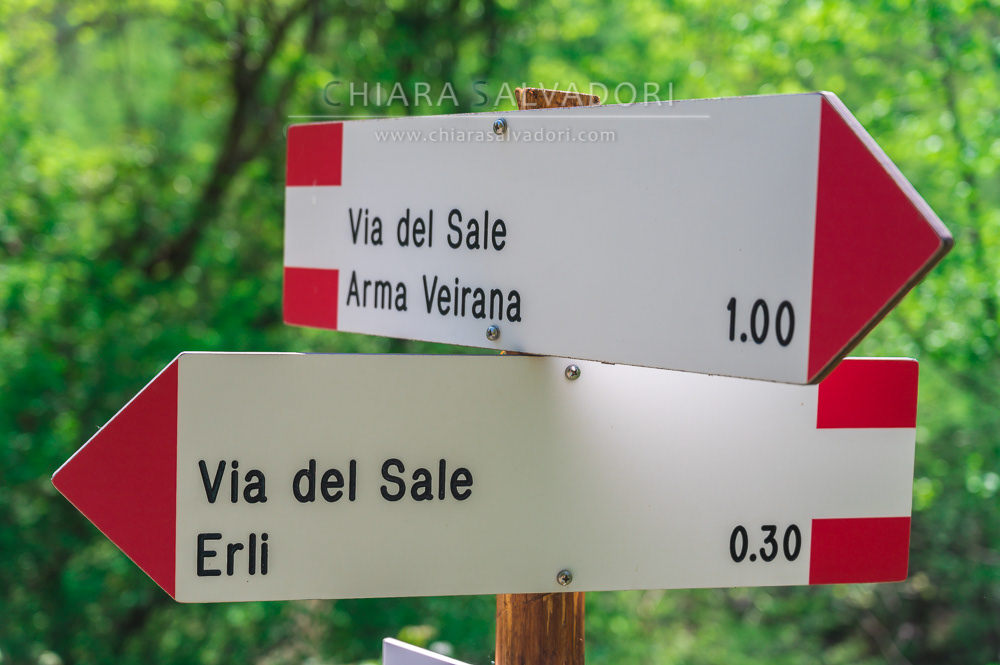 Erli - Savona, Liguria
