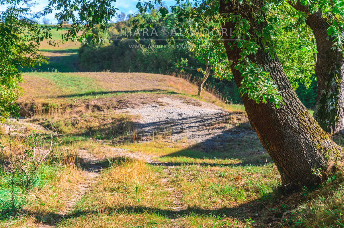 Bric Tana Regional Park