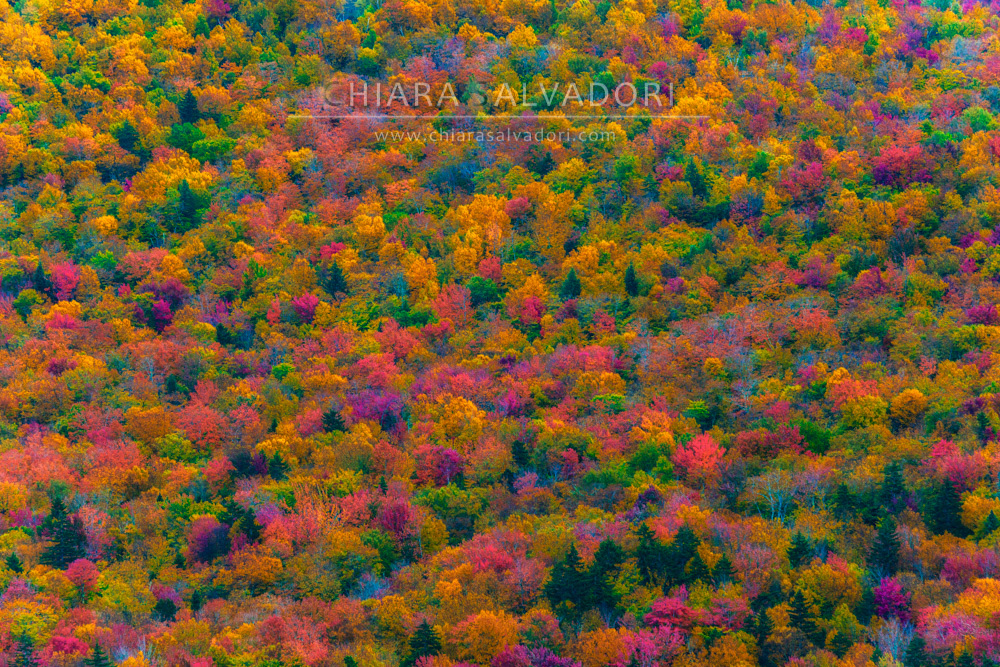 White Mountains, New Hampshire