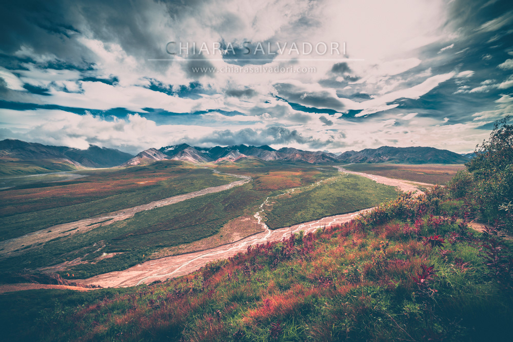 Denali National Park