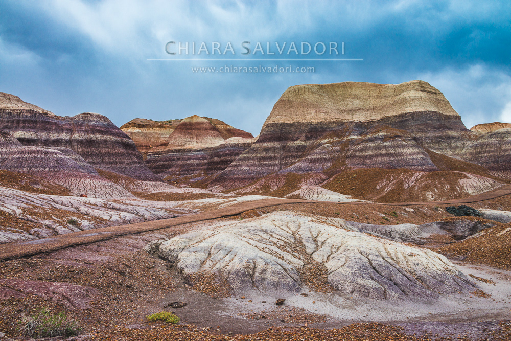 Blue Mesa, Petrified Forest National Park