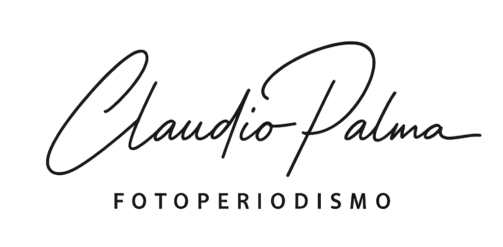 claudio palma muñoz