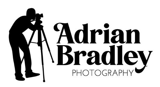 Adrian Bradley