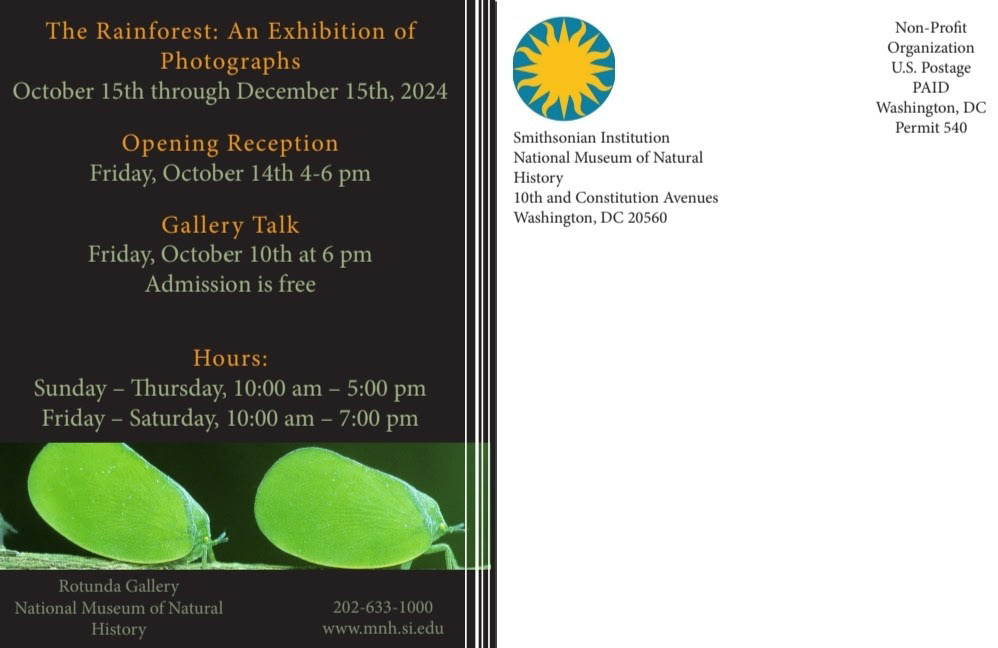 Rainforest Gallery Postcard back