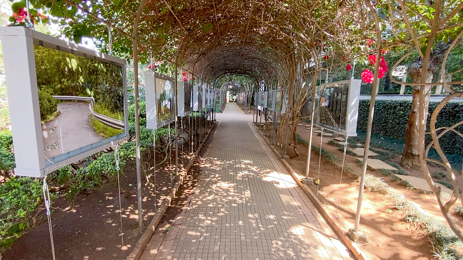 Casa das Rosas - Av. Paulista