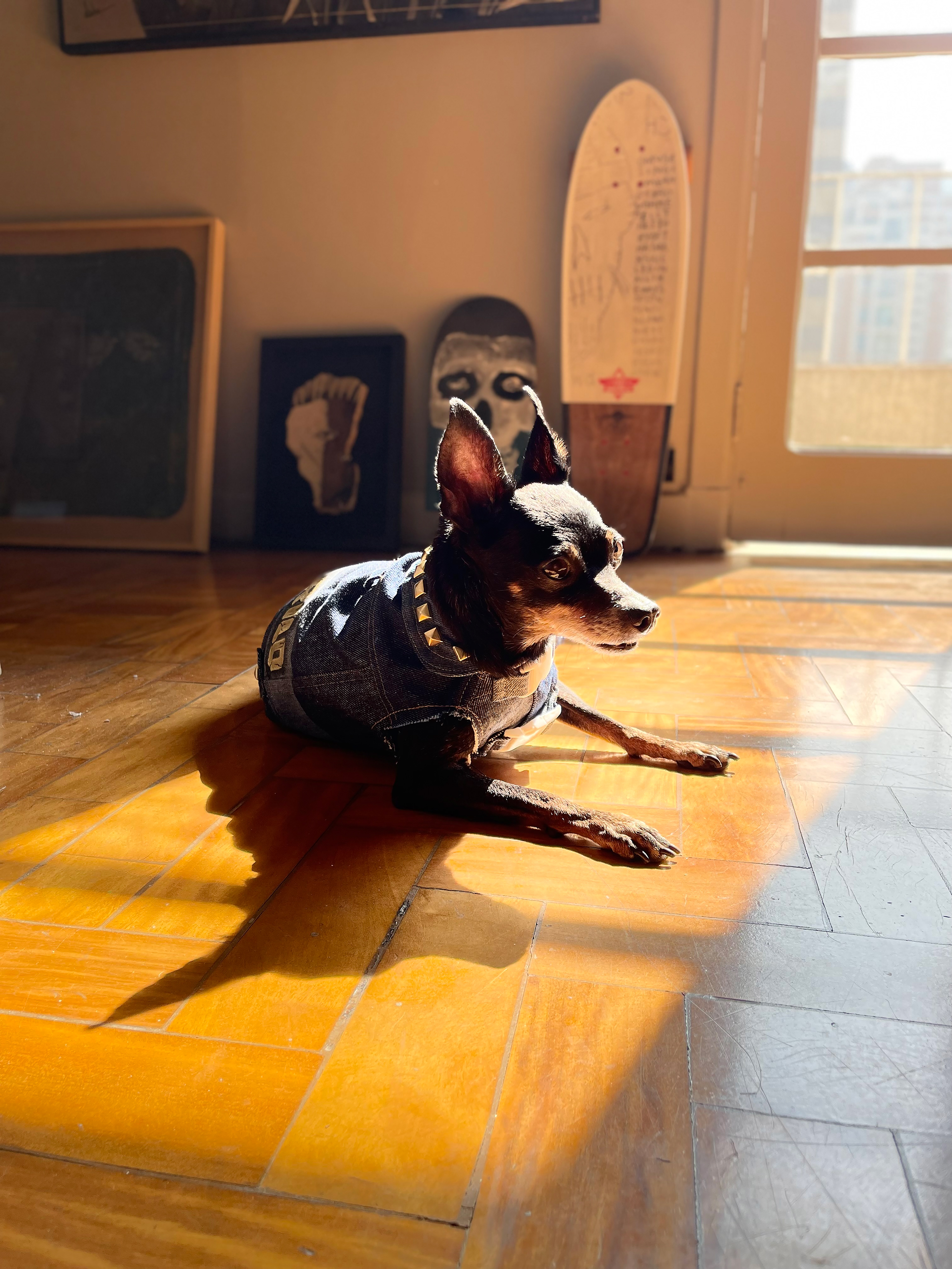 Cirilo by Didu Losso