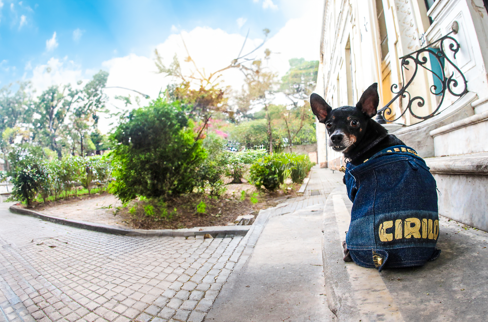 Cirilo by Roberto Salgado