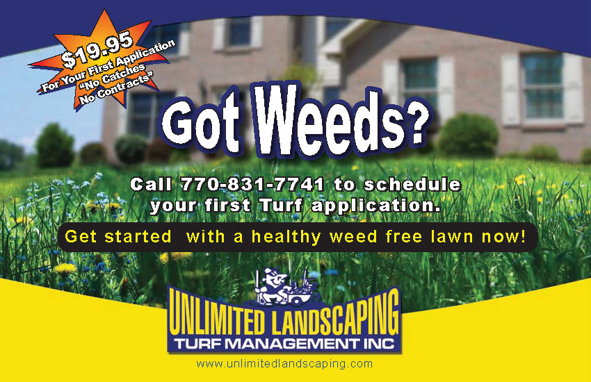 Unlimited Landscaping, Large Direct Mail Postcard (Front)
