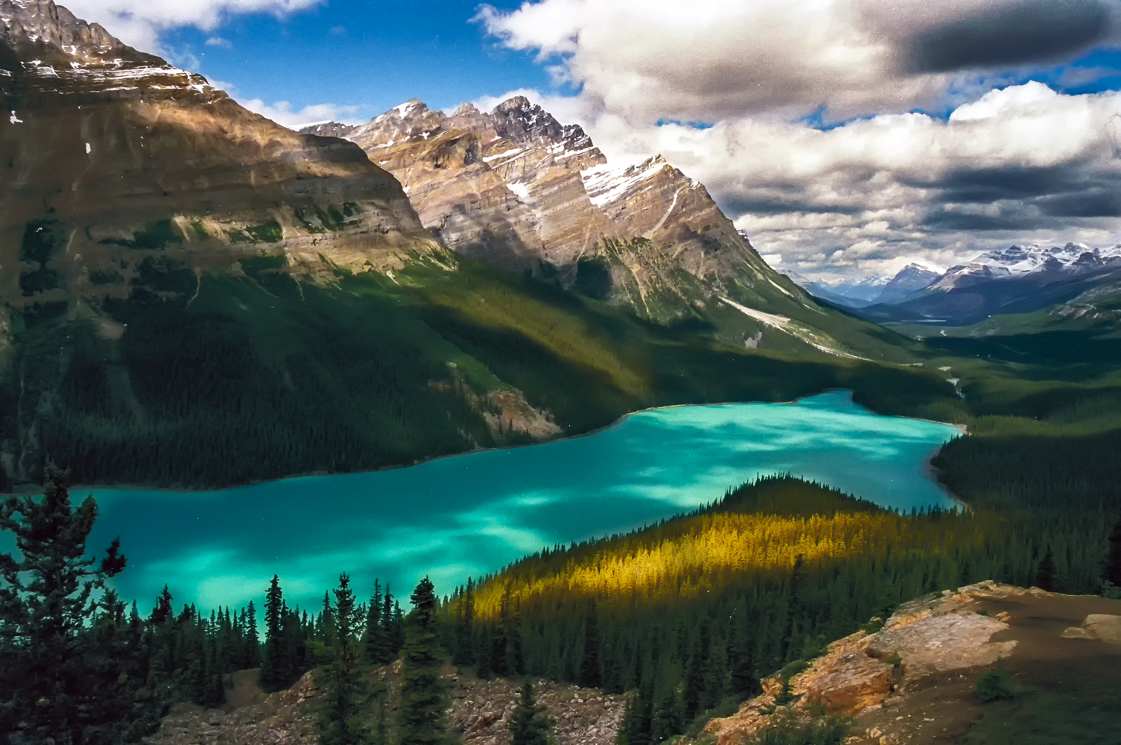Peyto Lake, Canadian Rockies