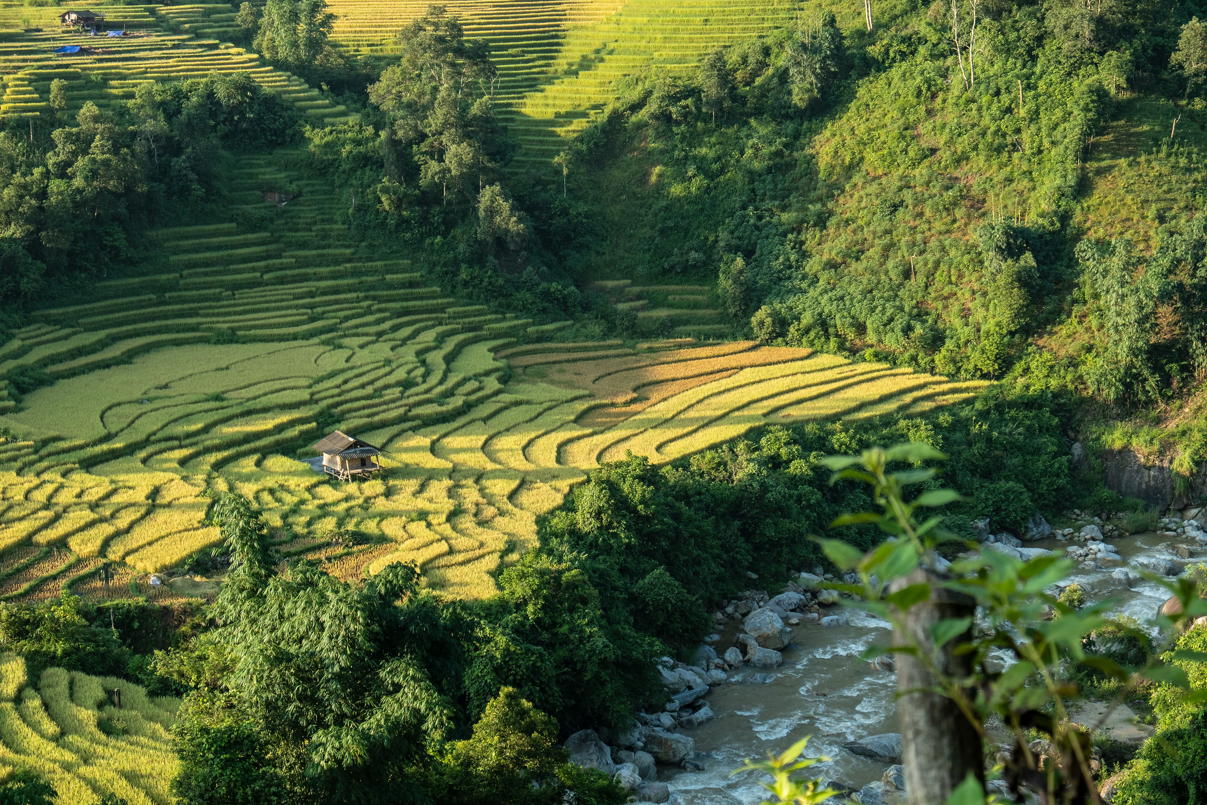 Nam Sai, Viet Nam