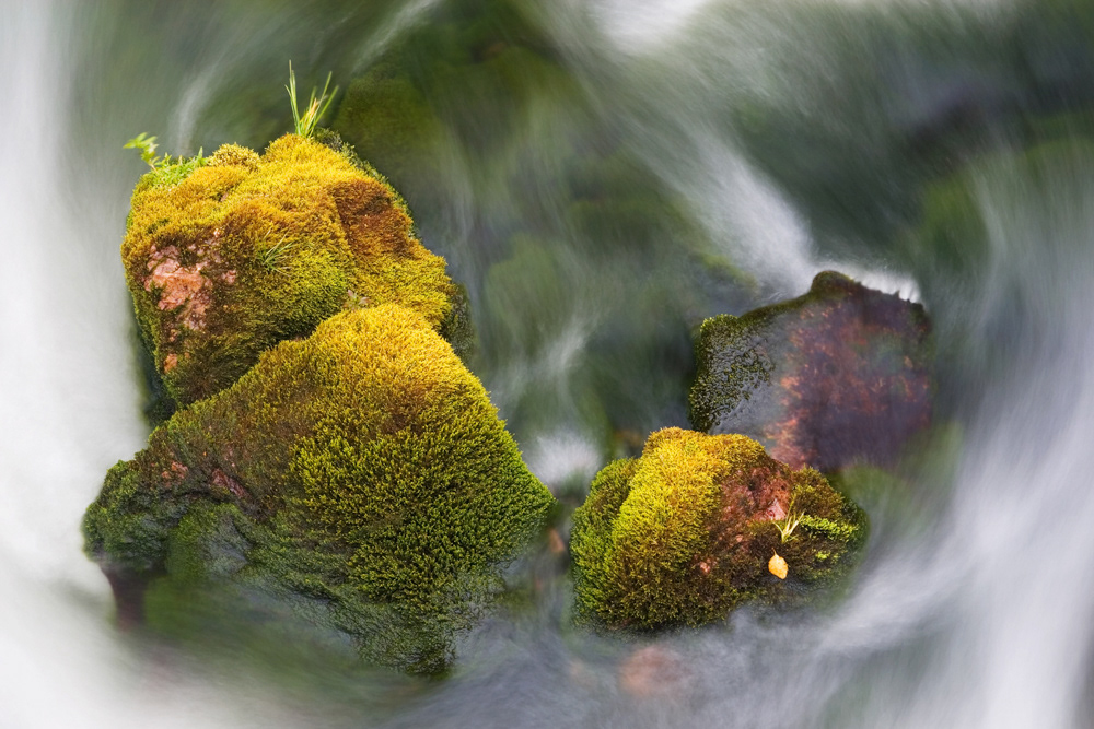 GDT Nature Photographer of the Year 2009 - Category Landscape - 9th place