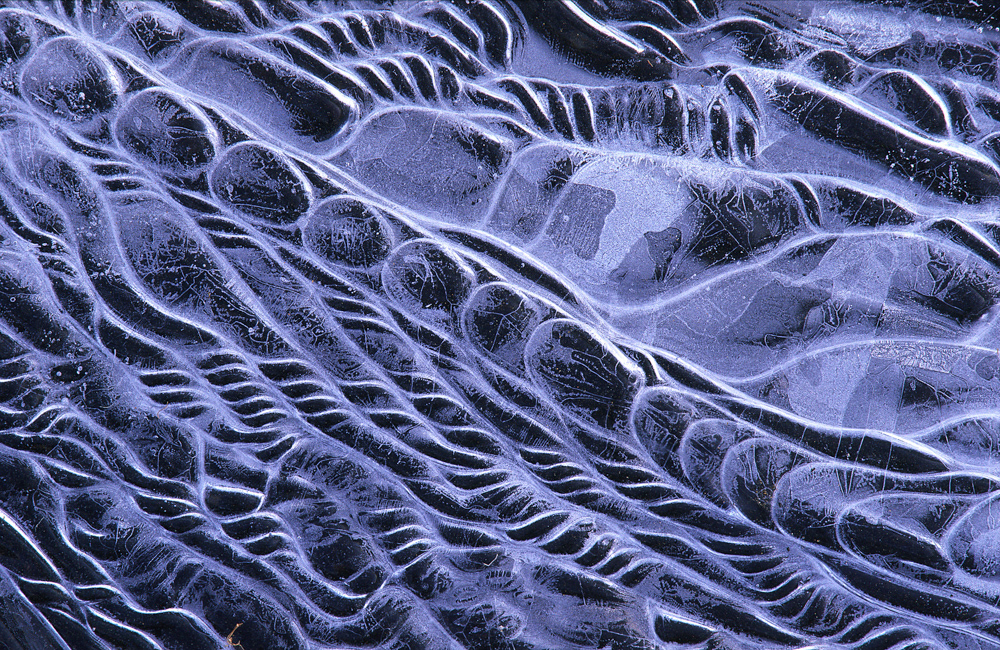 NFS Nature Photographer of the Year 2011 - Category Abstract - 3rd place