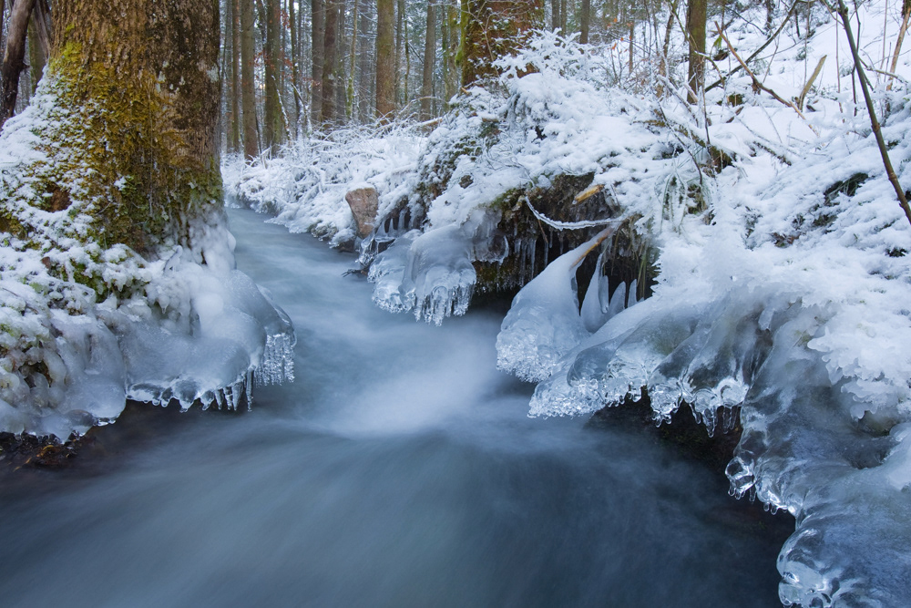 GDT Nature Photographer of the Year 2011 - Category Natural Areas Germany - 4th place