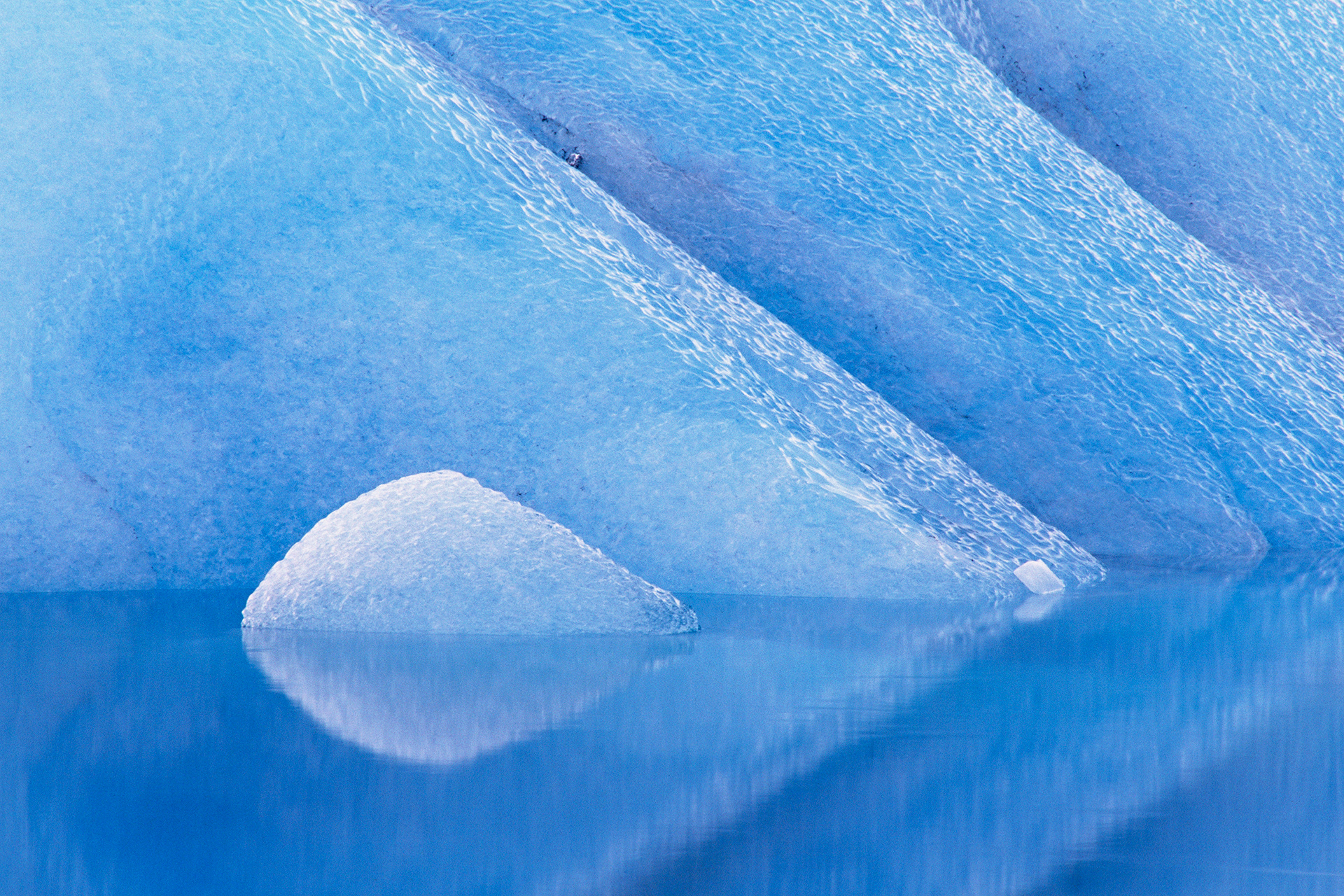 NVN Nature Photographer of the Year 2009 - Category Artistic - 4th place