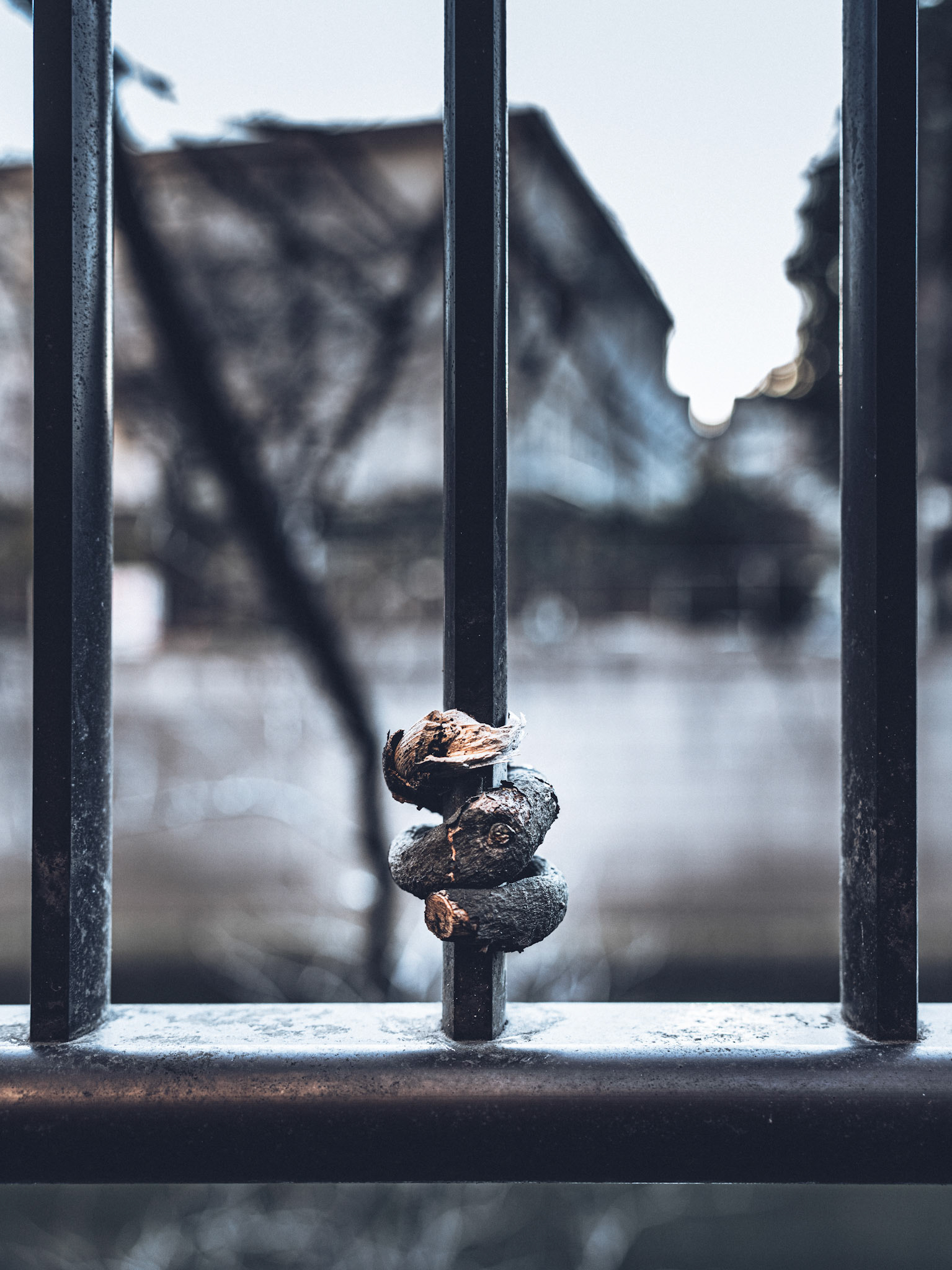 The Folly of Hoping