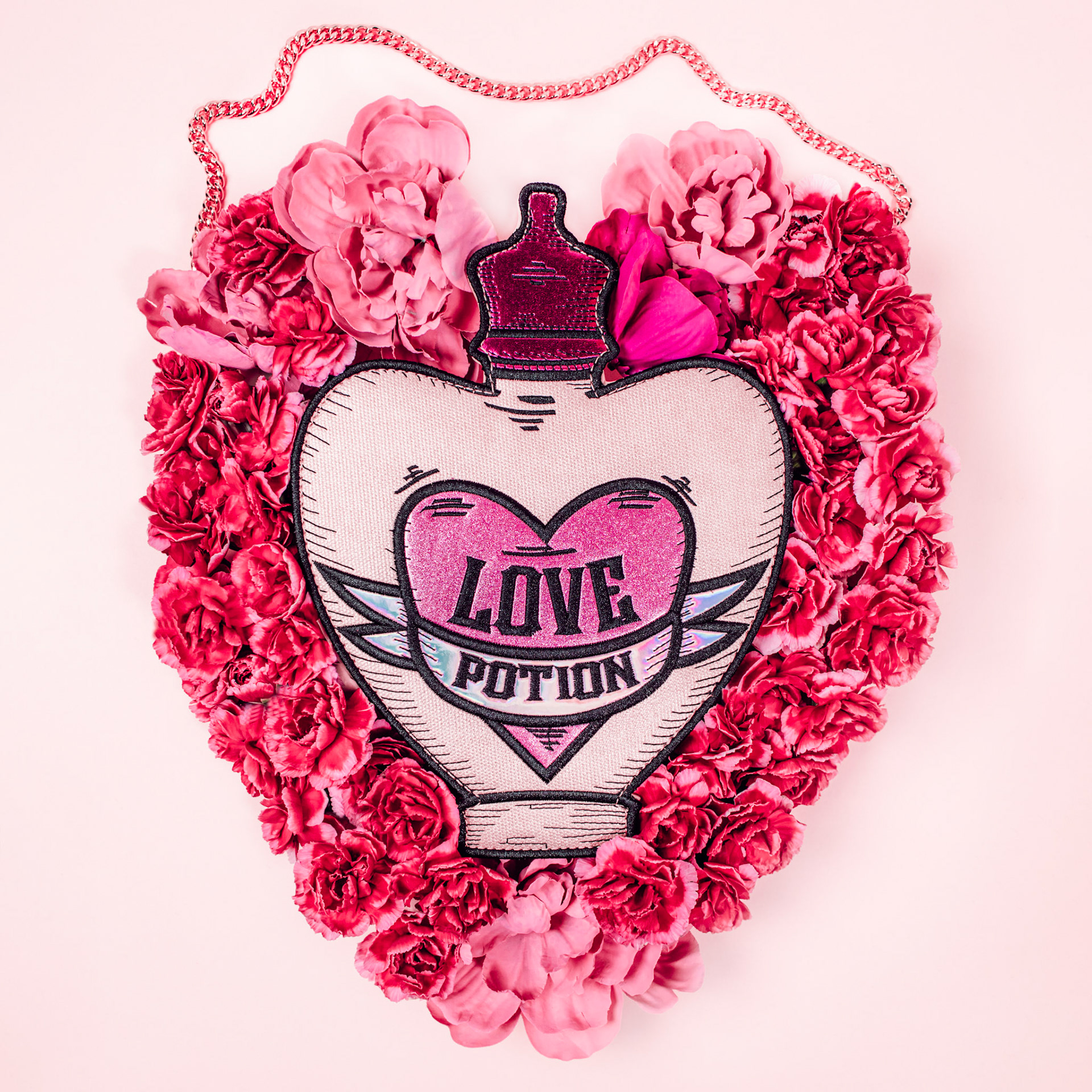 Image shot for Danielle Nicole Handbags