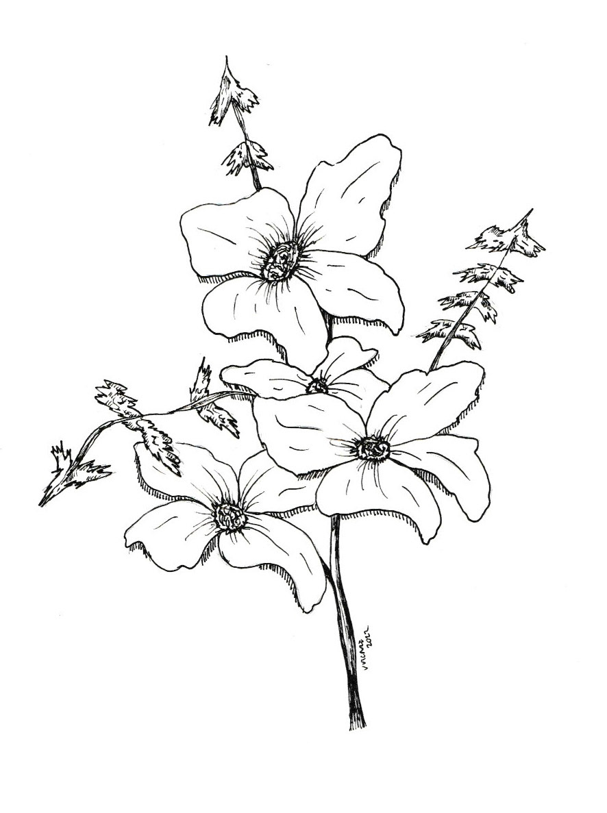 Floral in ink #5
