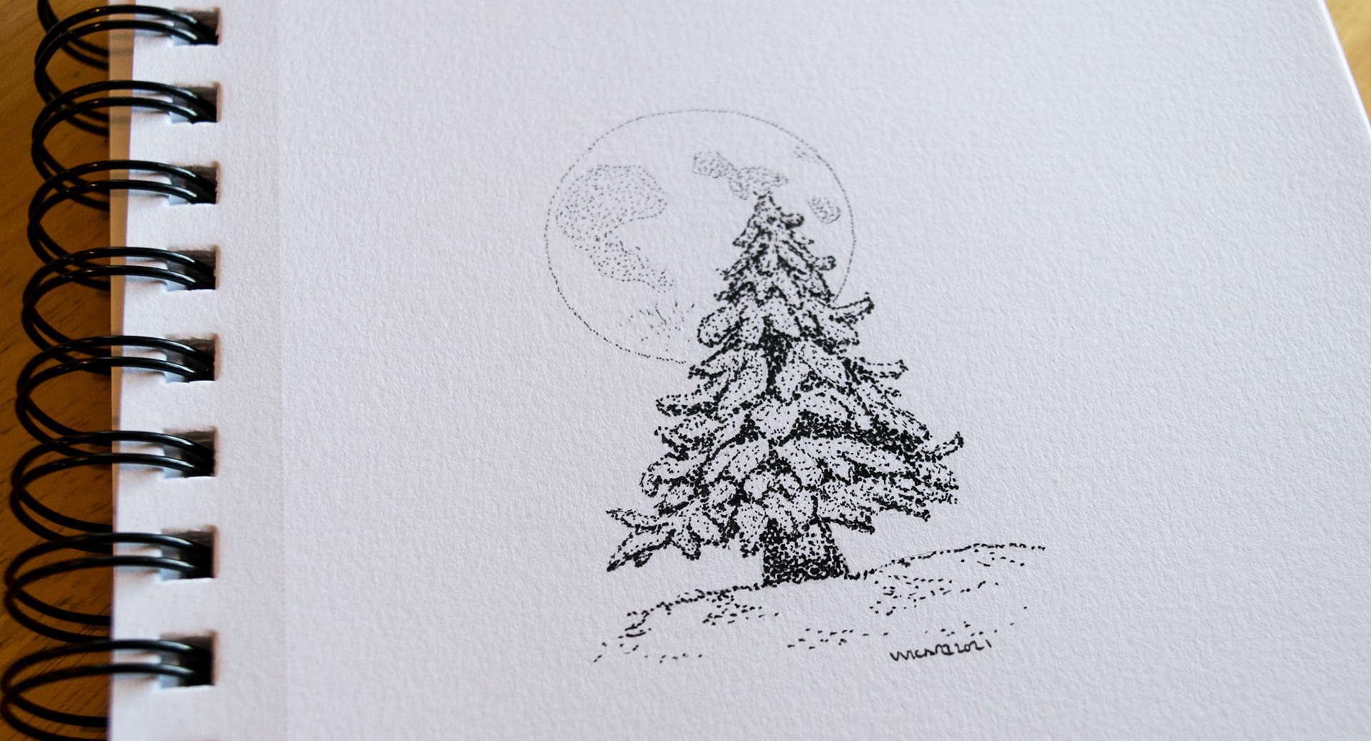 The Tree and The Moon