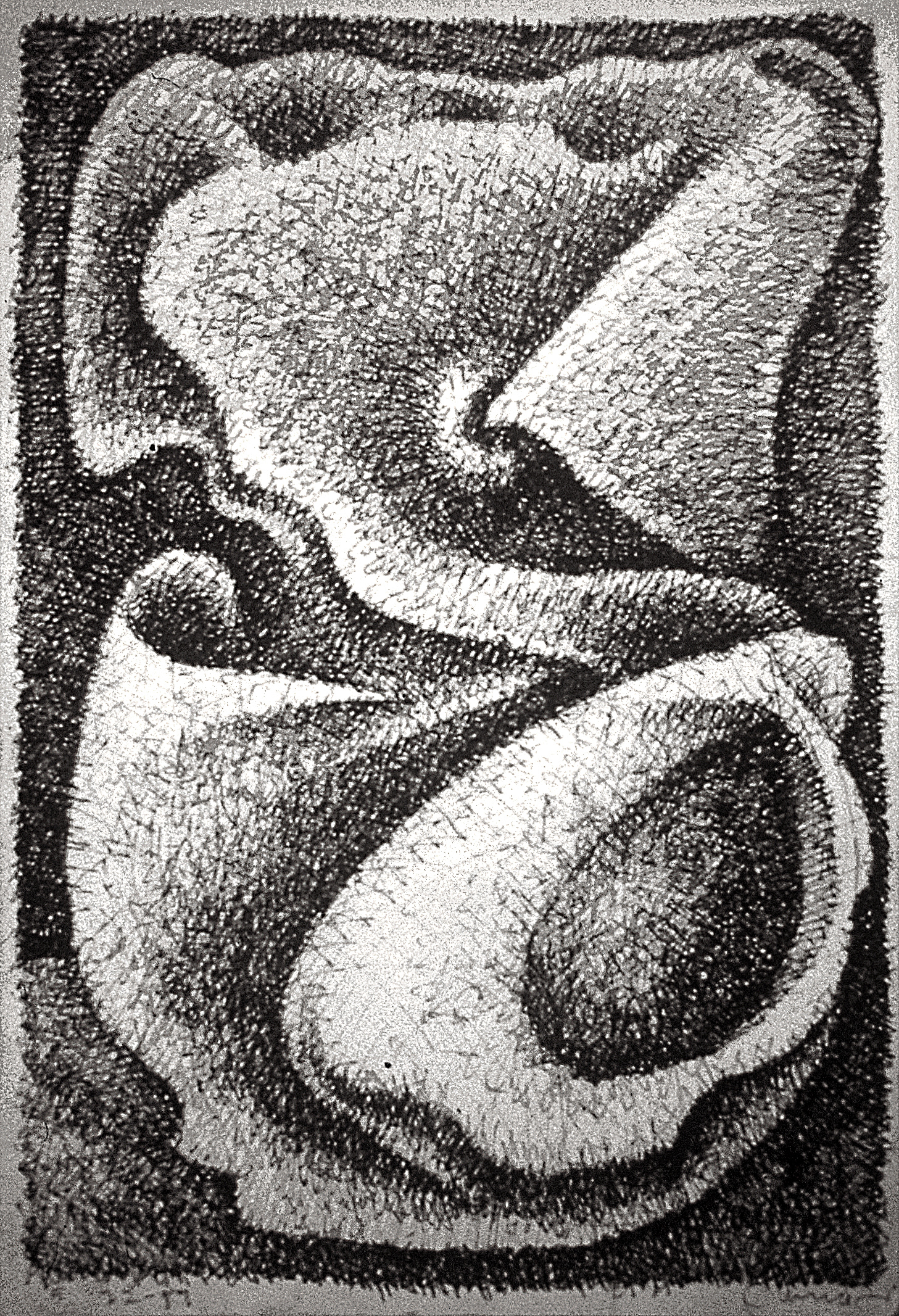 Bone (5/89)