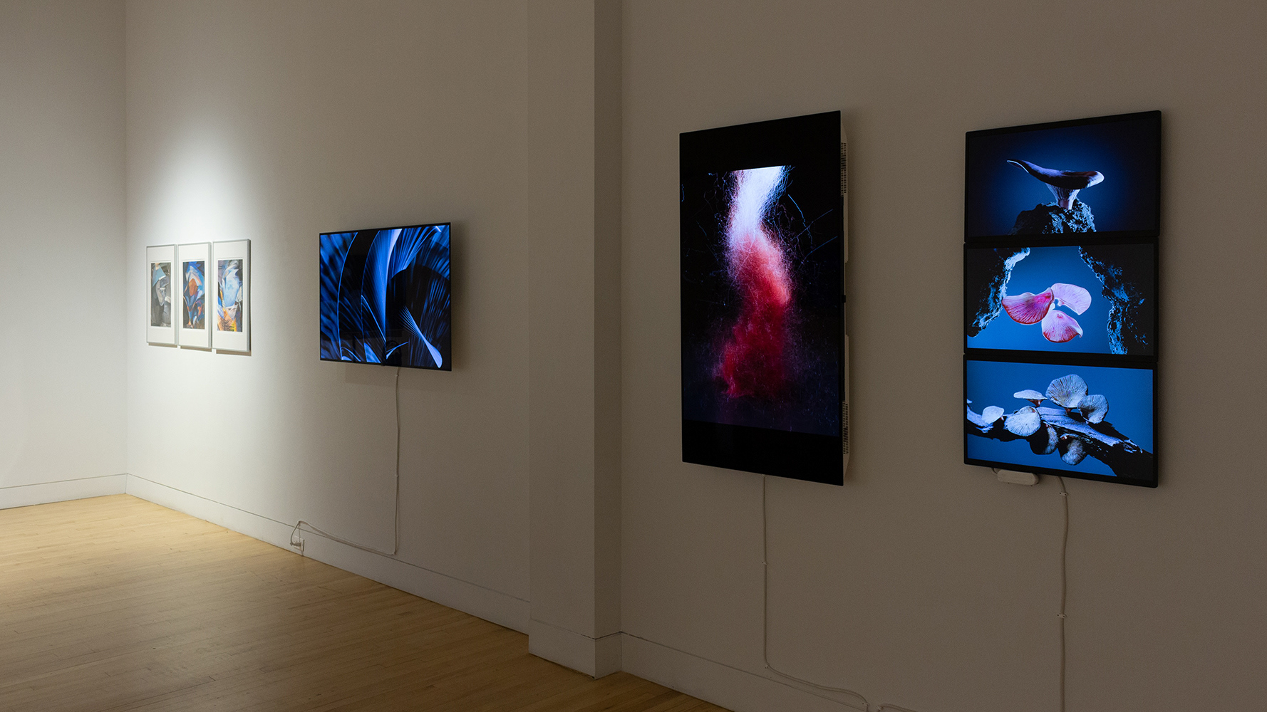 gallery pic