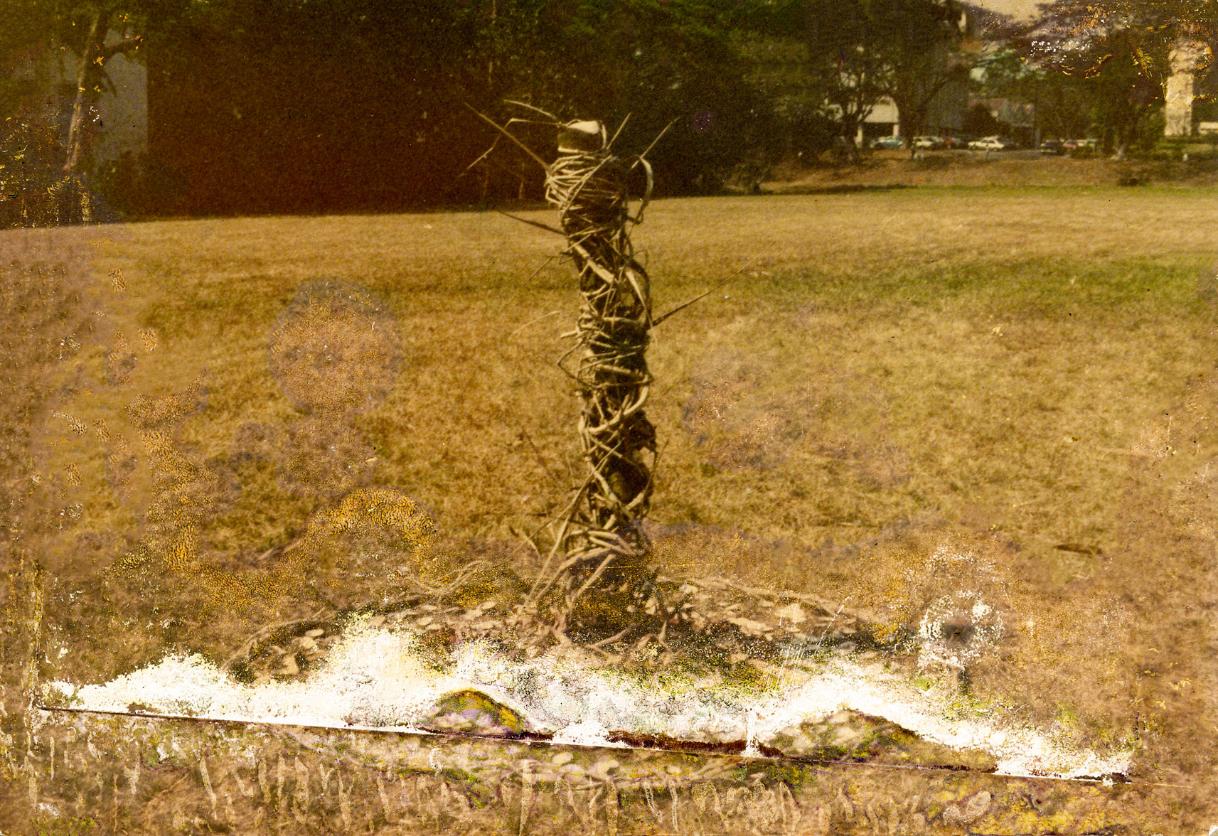 winning entry, Sigma Delta Phi Environmental Art contest (1984)