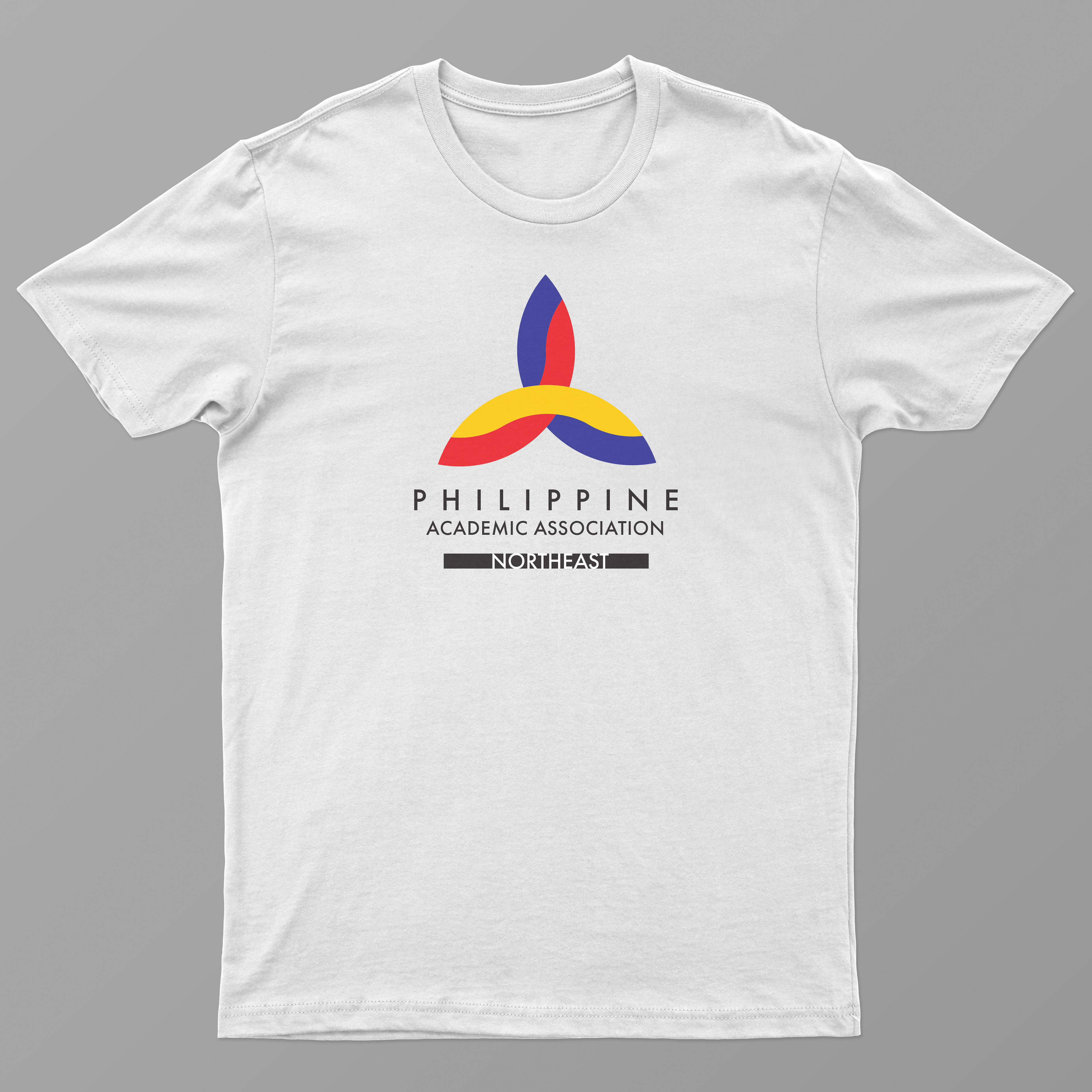 PAANE logo tshirt mockup (1/21)